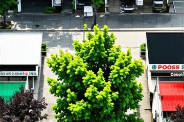 The GMB Keyword Mistakes Killing Your Neighborhood Visibility